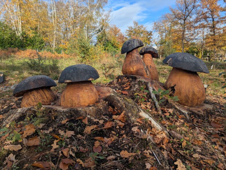 Vincent ratinaud décoration à l'espace galaxie
